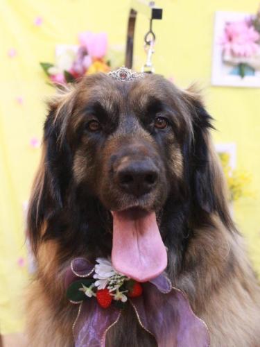 20230314シェリーちゃん